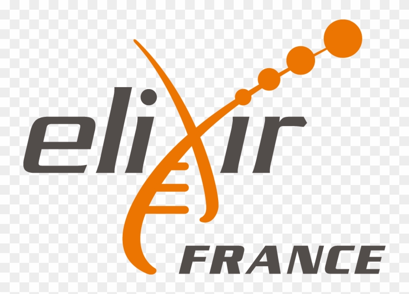 Elixir #1035014