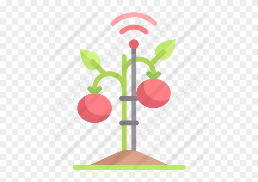 Sprout - Sprout #1035490