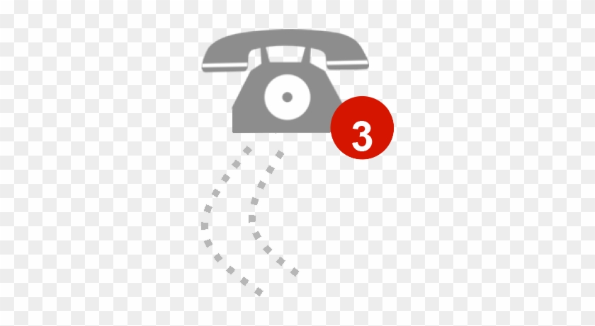 The Program Includes Two Formal Follow-up Phone Consultations - Telephone #1035677