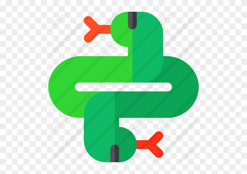 Snake - Snake #1038245