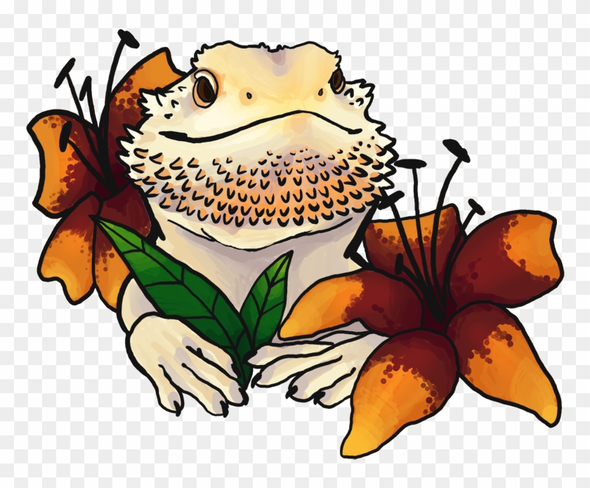 Sunfish Exotics, This Cute Bearded Dragon Belongs To - Cute Bearded Dragon Drawing #1038769