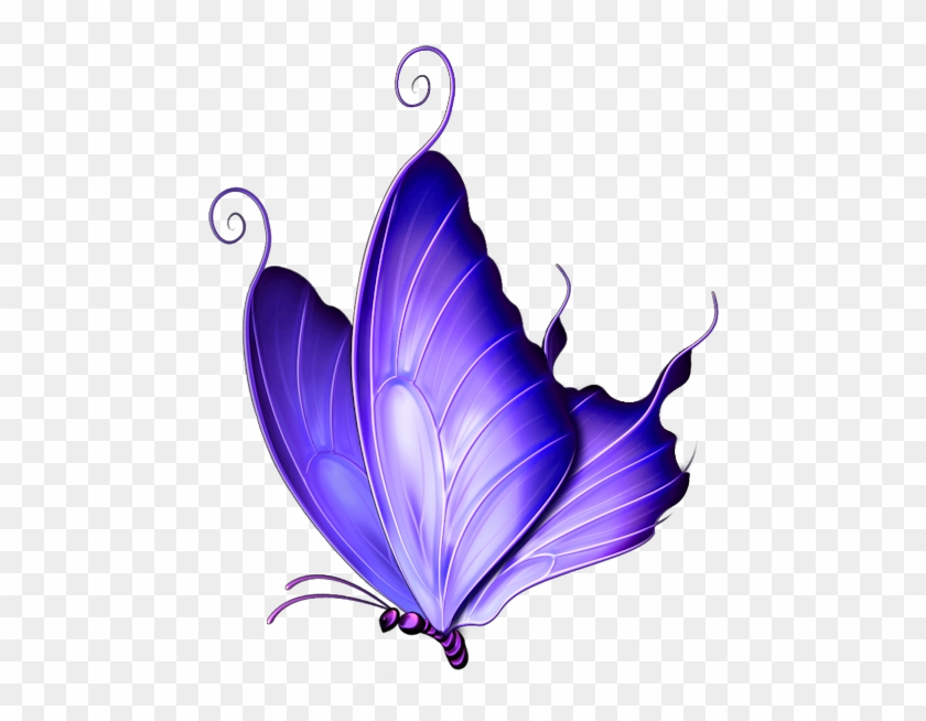 Butterfly Clipart Transparent Background - Butterfly Clipart Png #1038775