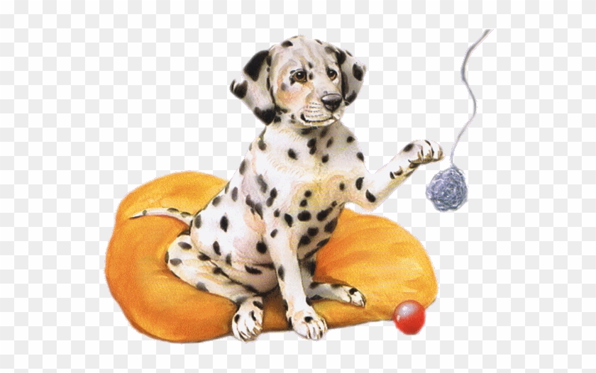 Dalmatians Dogs - Dalmatian #1038996