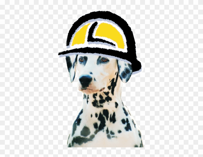 Dalmatian #1039001