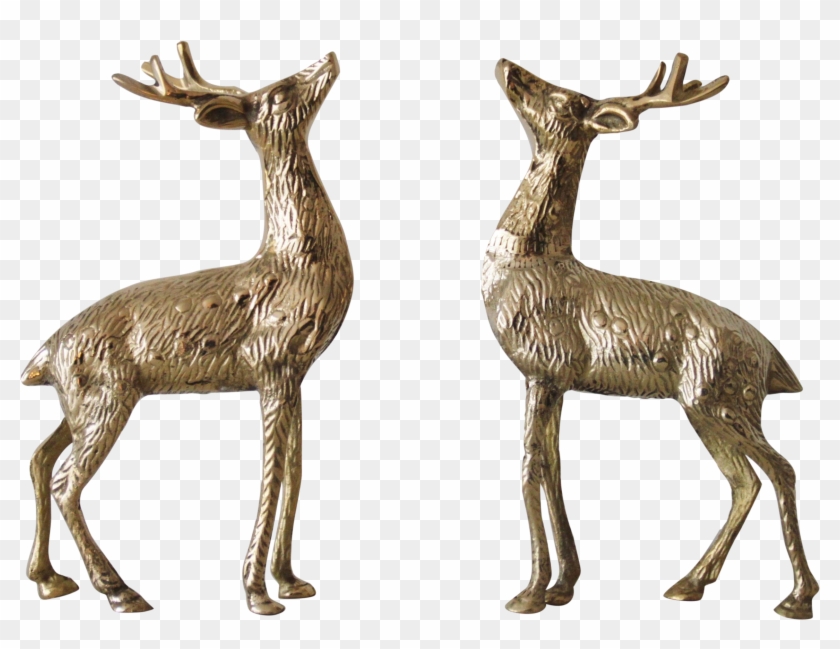   Animal Vintage #1039570