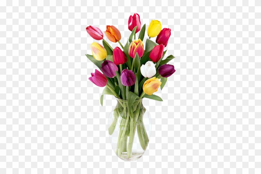 Png Lale Resimleri - Tulle #1041453