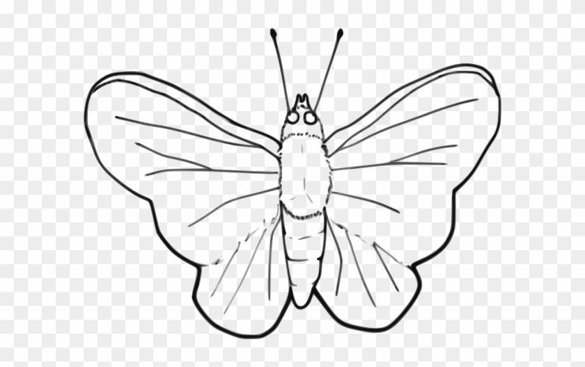 How To Set Use Butterfly Svg Vector (vector - Clip Art #1041474