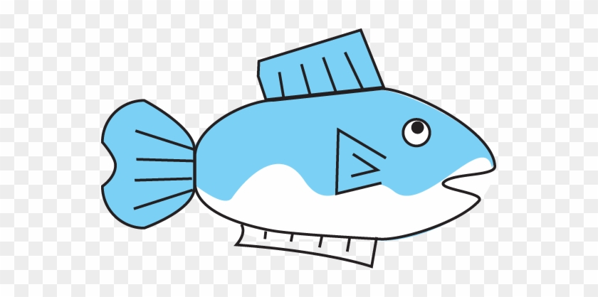 Fish - Fish #1041706