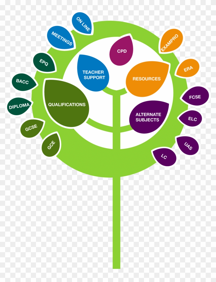 Graphic Design Illustration Of The Tree Of Knowledge - Circle #1042296
