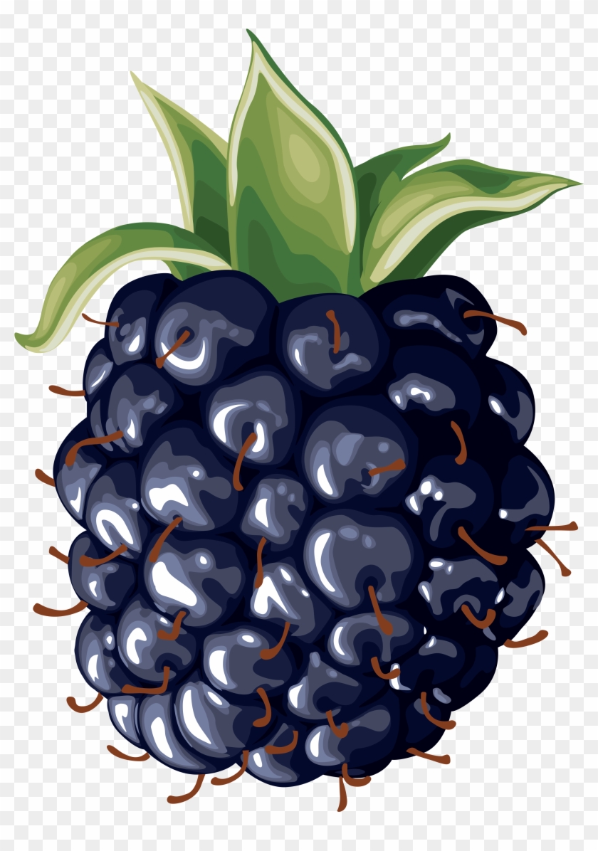 Blackberry Clipart - Clipart Suggest - Blackburied Pie [book] #1042557