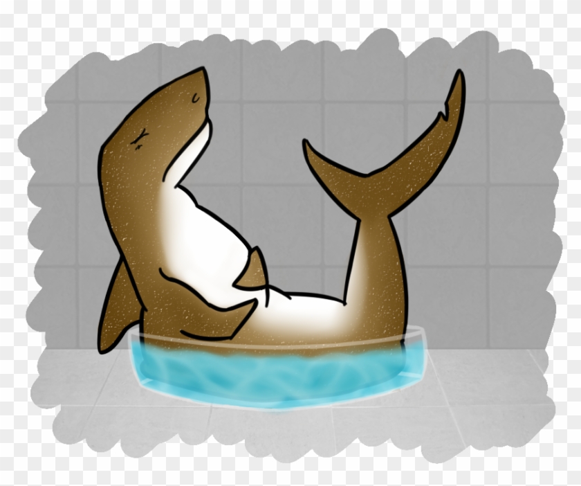 Bloated Shark Belly Pt1 By Cannibalisticfawn - Bloating #1042839