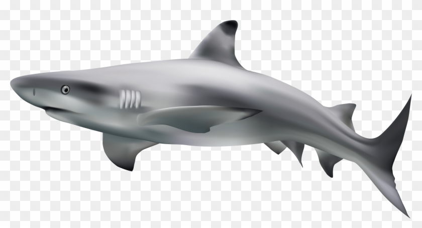 Shark Transparent Clip Art Image - Use4 Polyester Fabric Design Unique Fashion Waterproof #1042870