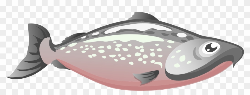 Salmon Clipart Transparent Fish - Salmon Png #1042994