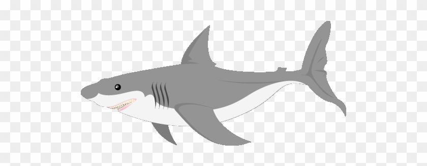 Image Result For Animated Gray Fish Gif Clipart - Shark Transparent Background Gif #1043754