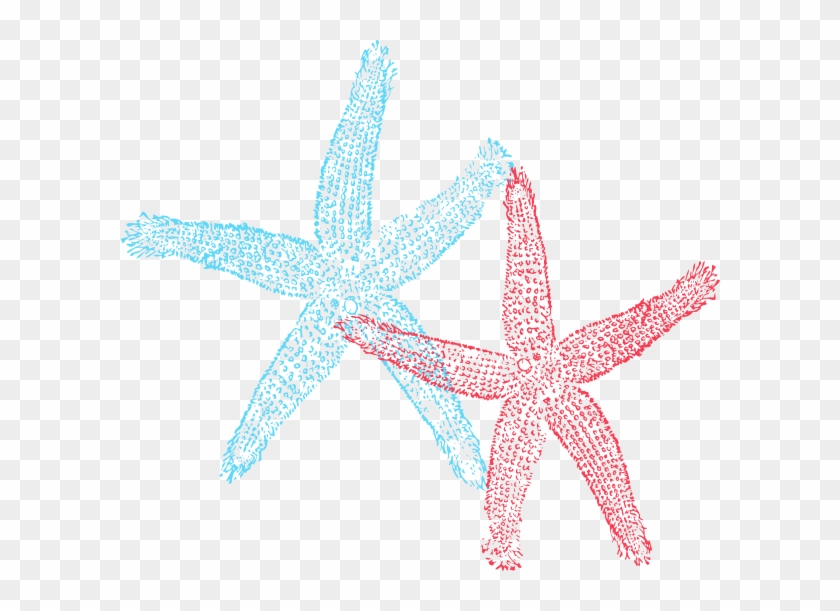 Starfish Clipart Border - Gold Or Silver Metallic Shoe Upgrade, Gold Silver Bridal #1043863