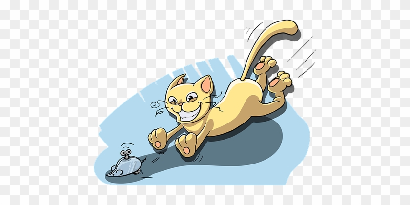 Cat Chasing Mouse Toy Playing Game Play An - Cat #1044120