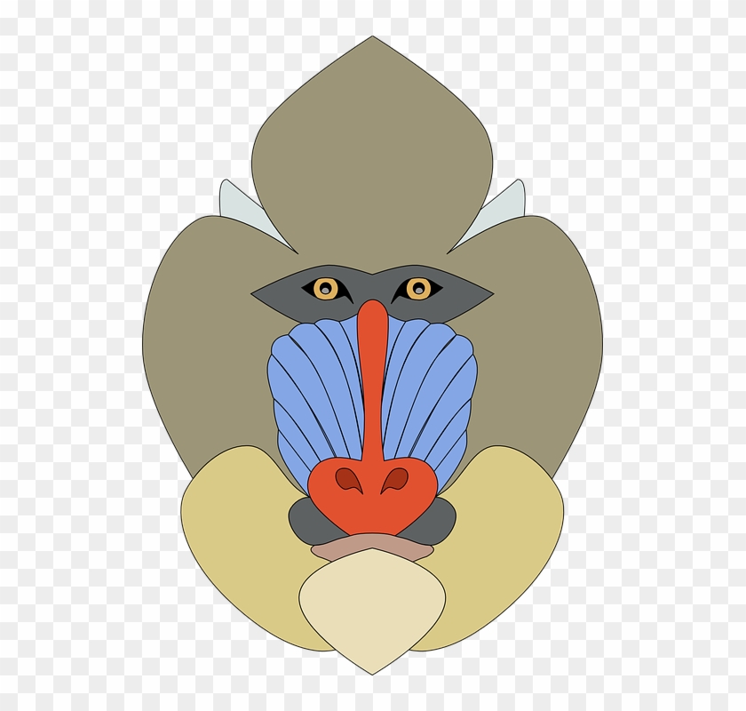 Mandrill Face Shower Curtain #1044191