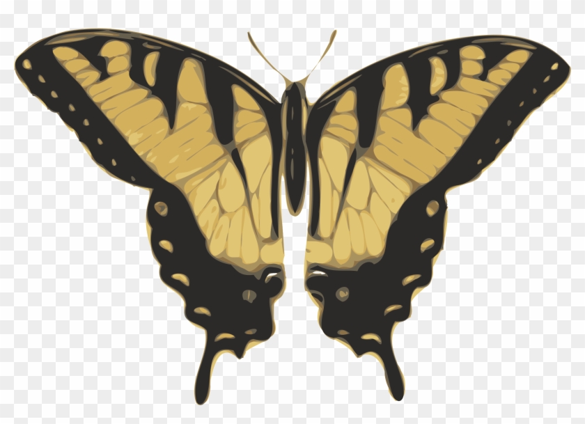 This Free Icons Png Design Of Butterfly Top View - Butterfly Top View #1044376