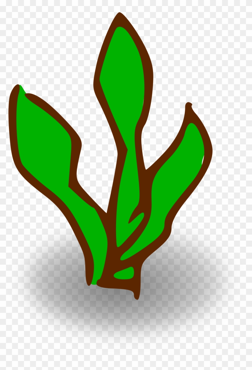 Kelp Forest Seaweed Clip Art - Kelp Clipart #1044436