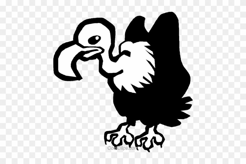 Vulture - Abutre Png #1044613
