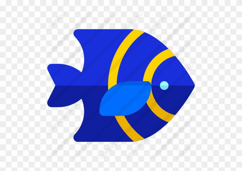 Fish - Fish #1044811