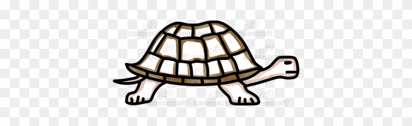 Turtle - Box Turtle #1045083