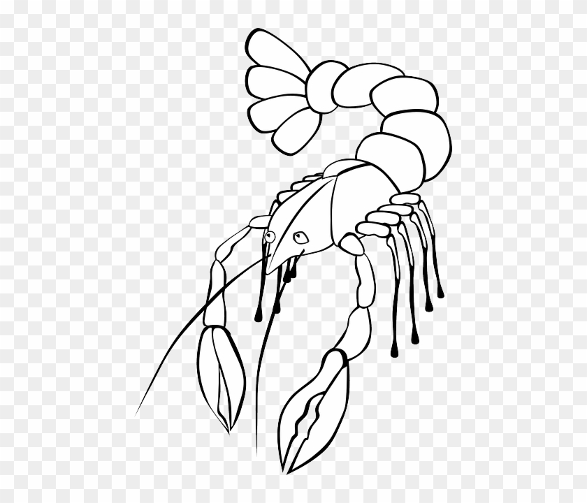 Food, Outline, Drawing, Cartoon, Fish, Draw, Ocean - Food, Outline, Drawing, Cartoon, Fish, Draw, Ocean #1046238