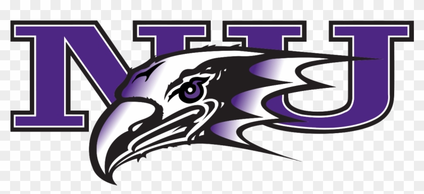 Niagara Falls University Basketball #1046499