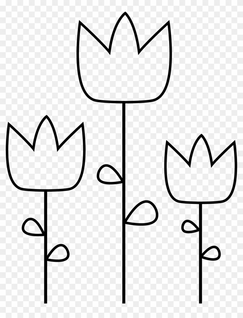 Flowers - Tulip #1047396