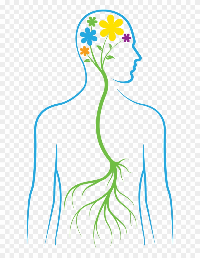 Click The Banner Below To Learn More About Me And The - All Health Begins In The Gut #1047890