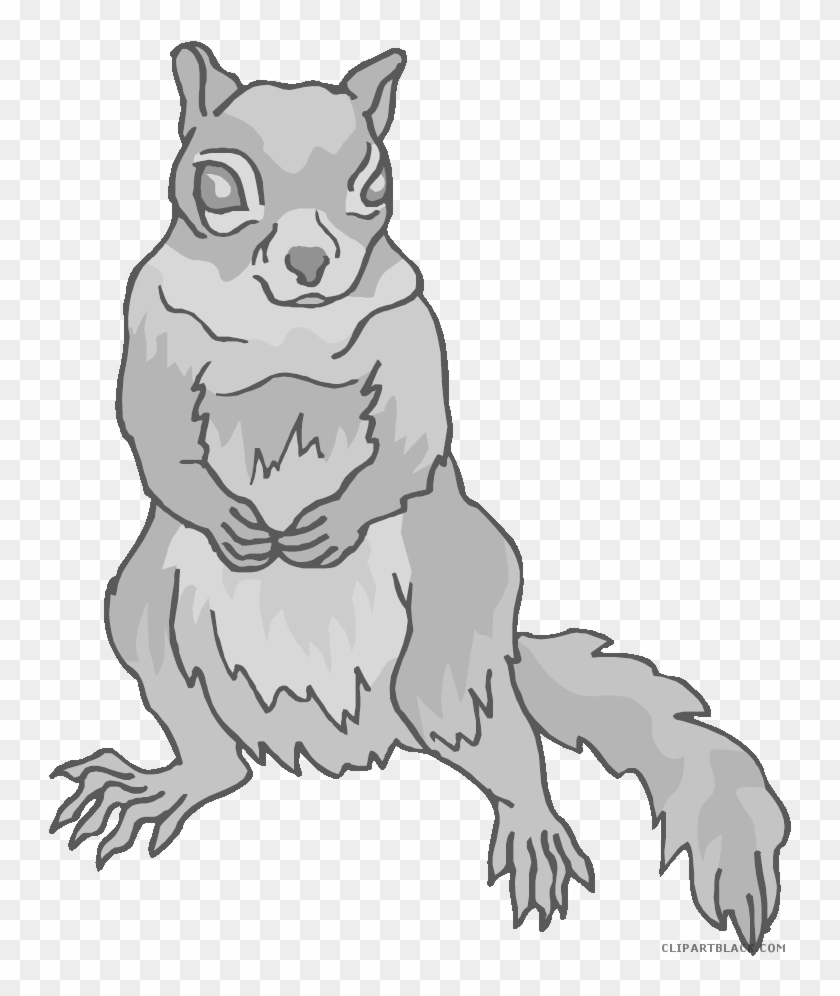 Squirrel Animal Free Black White Clipart Images Clipartblack - Clip Art #1048277