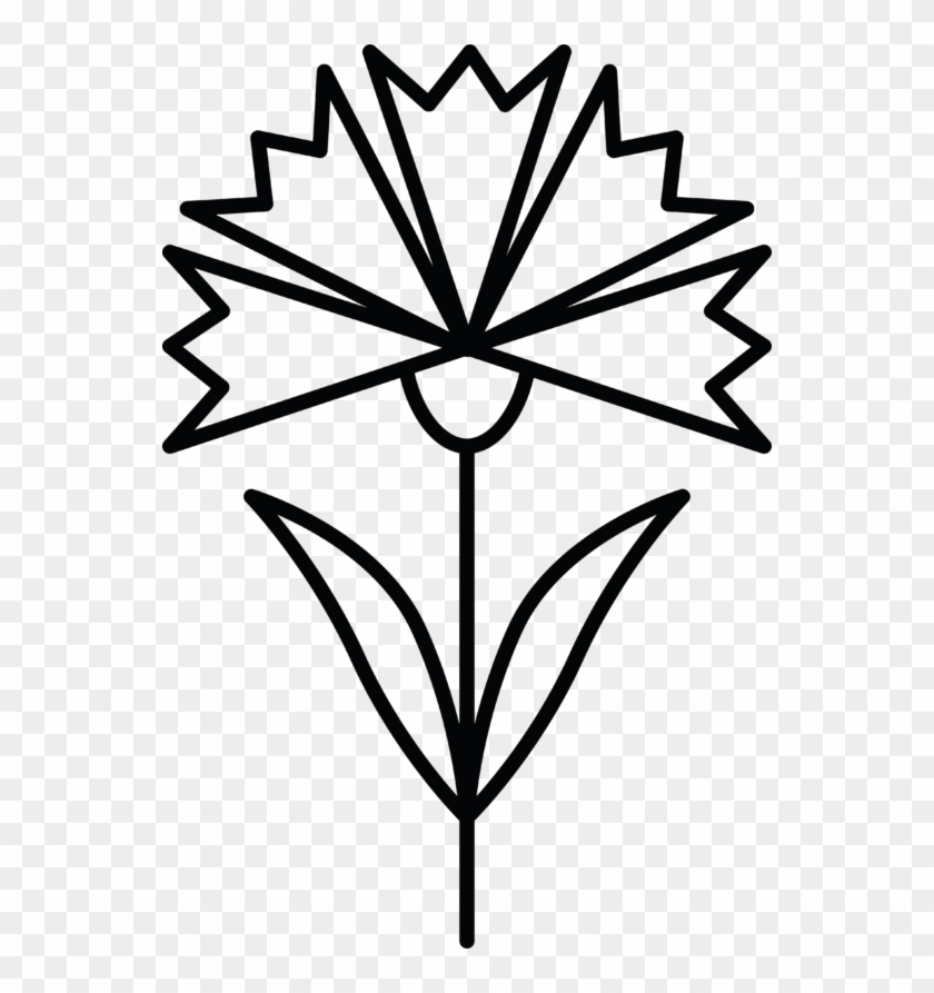 Carnation Png - Carnation #1048720