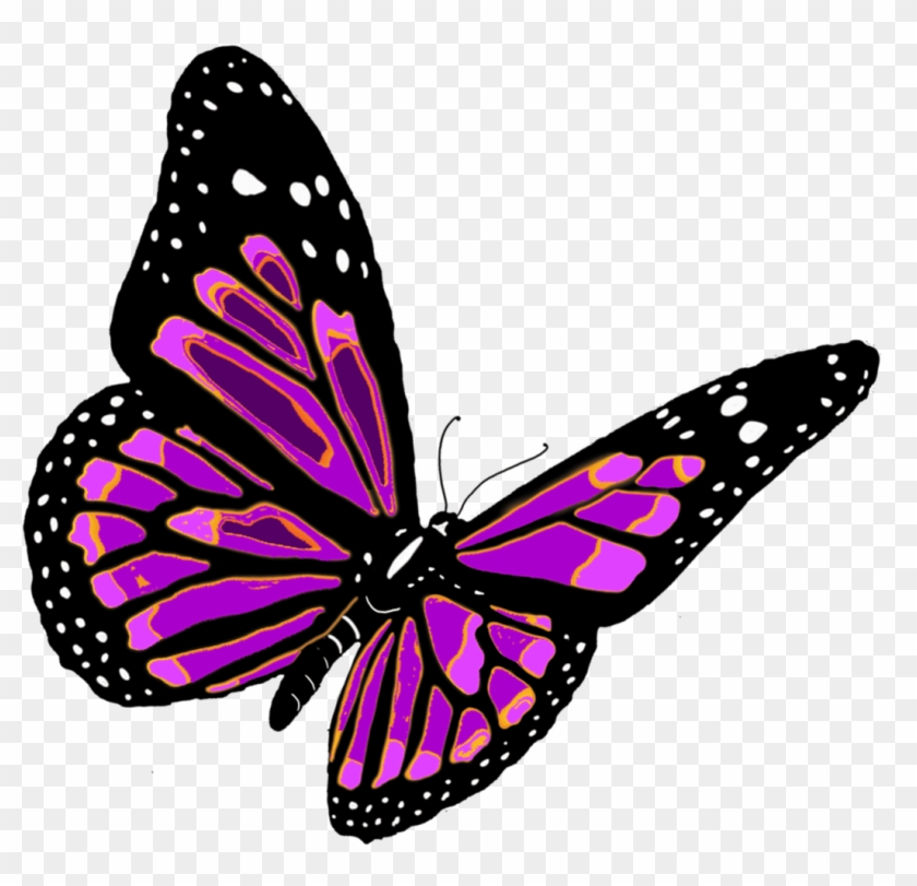 Butterfly - Butterfly Png #1048739