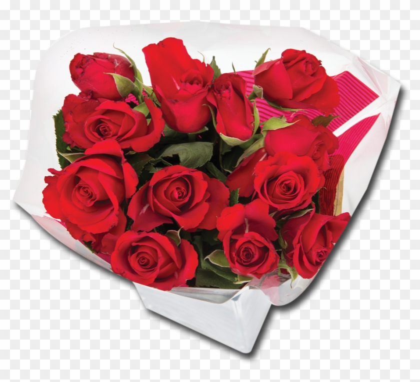 Garden Roses #1048745