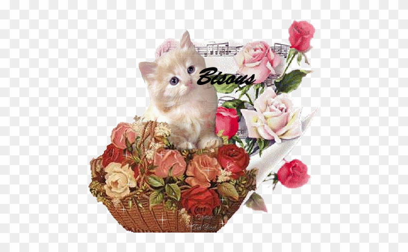 Rosy Cat,needlework Home Decoration Diamond Painting #1048858