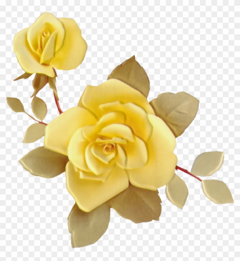 Rose - Garden Roses #1048917