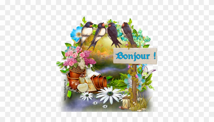 Coucou Salut Bonjour - Zwaluwen #1048940