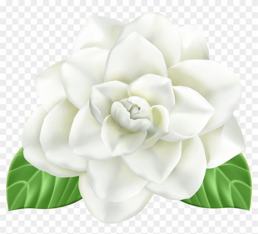 Flower Clip Art - Flower Clip Art #1049015