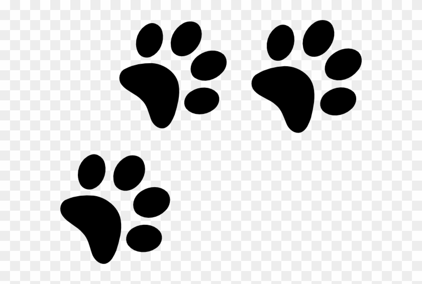 Black Paws #1049986