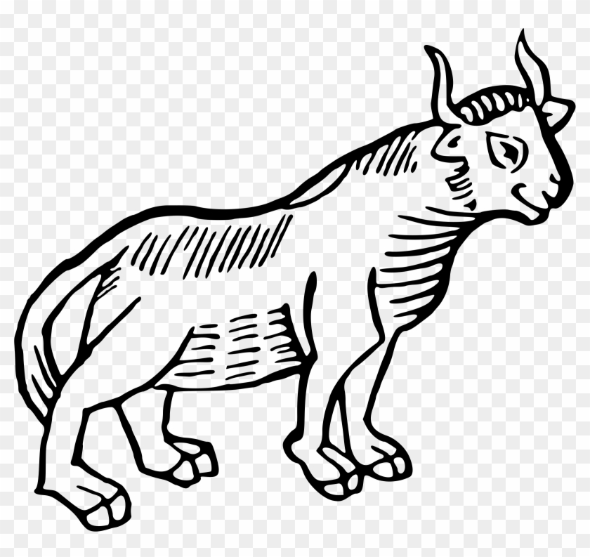 Bull - Banteng #1050466