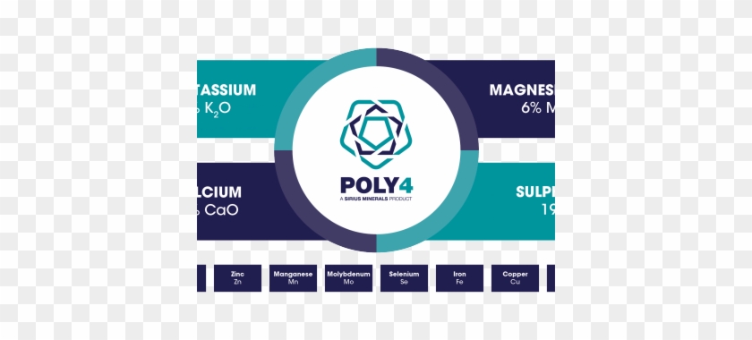 Poly4 #1051130