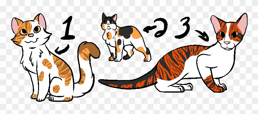 Litter 8- Tallsplash X Roseblaze By Otterxsorrel - Litter 8- Tallsplash X Roseblaze By Otterxsorrel #1051510