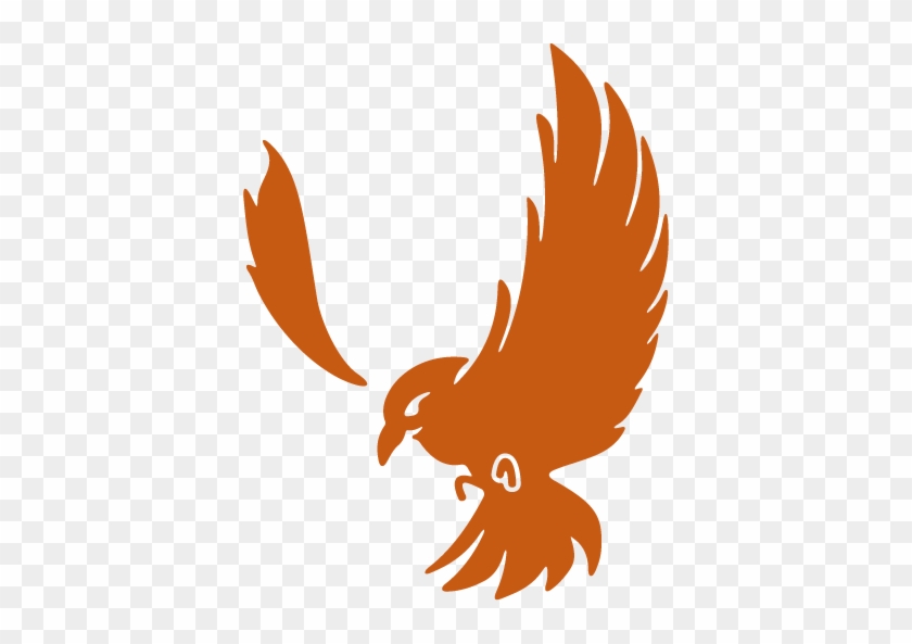 Tracking Shipment Services - Bird #1051691
