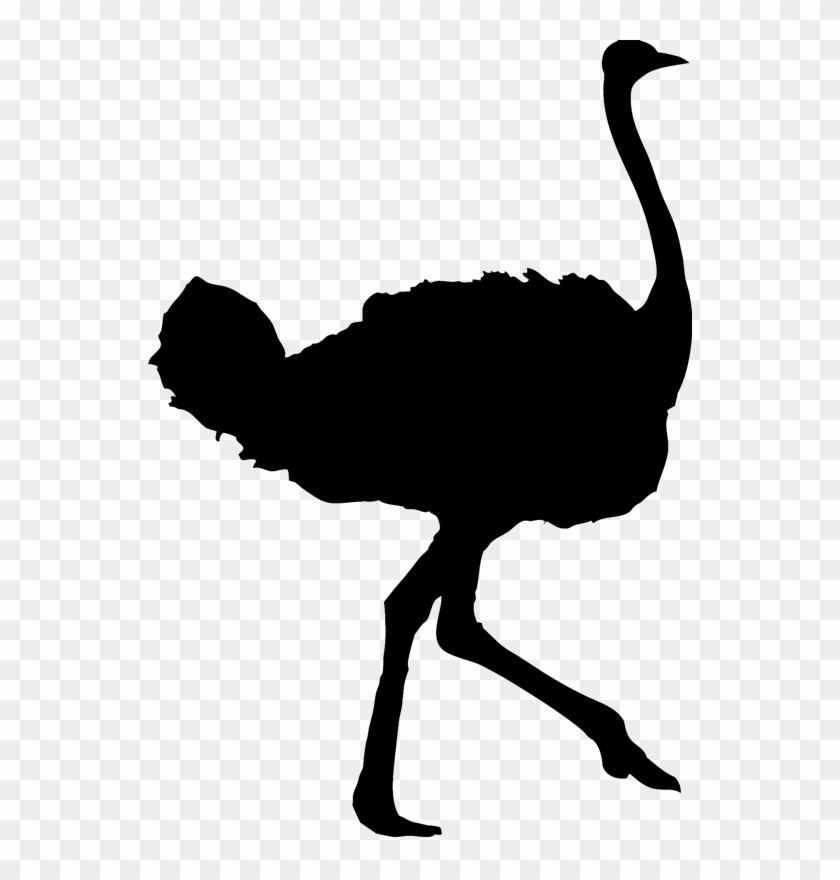 Ostrich Silhouette - Ostrich Silhouettes #1052457