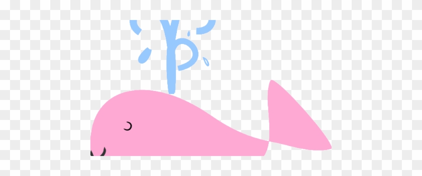 Cetacea #1052570