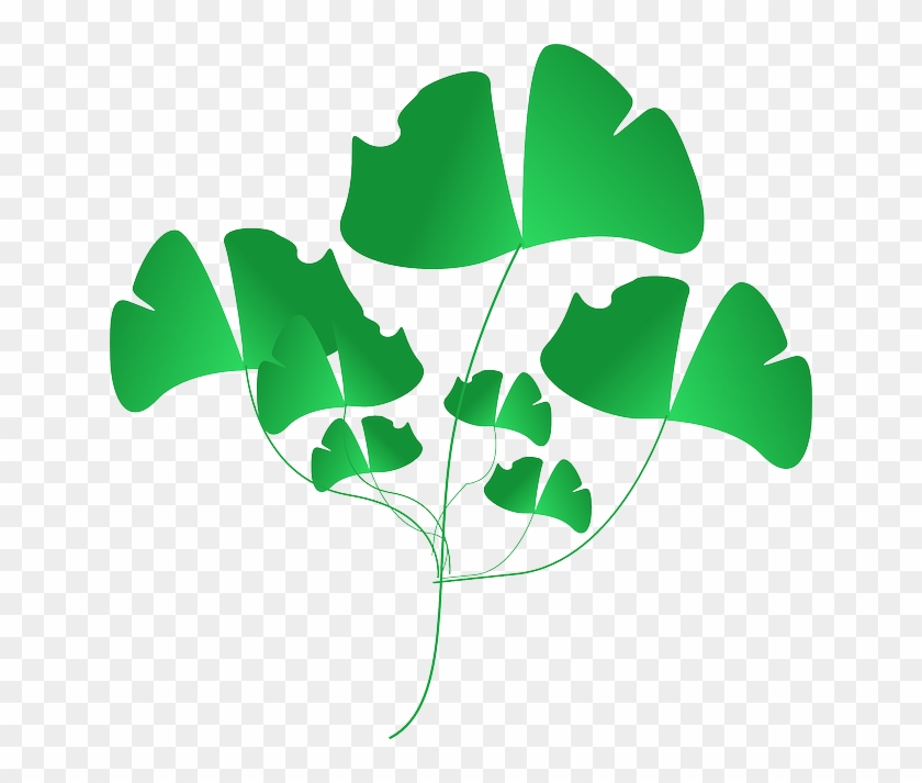 Weeds Plant, Green, Leaves, Nature, Weeds - Clip Art #1054257