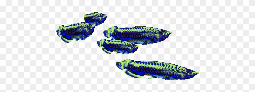 Fish Sticker By Badblueprints - Fish School Animated Gif #1054477