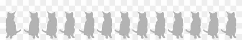 Free Cat Image - Domestic Short-haired Cat #1054729