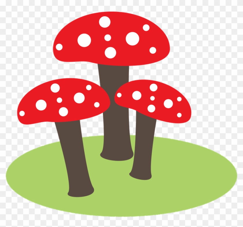 Bebê - Agaricus #1054839