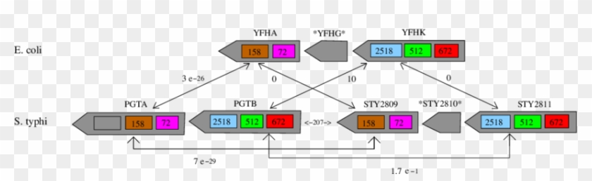 Part Of A Domain Team Obtained From The Two Bacteria - Screenshot #1055973